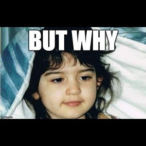 Meet your Posher, Taylor